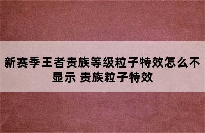 新赛季王者贵族等级粒子特效怎么不显示 贵族粒子特效